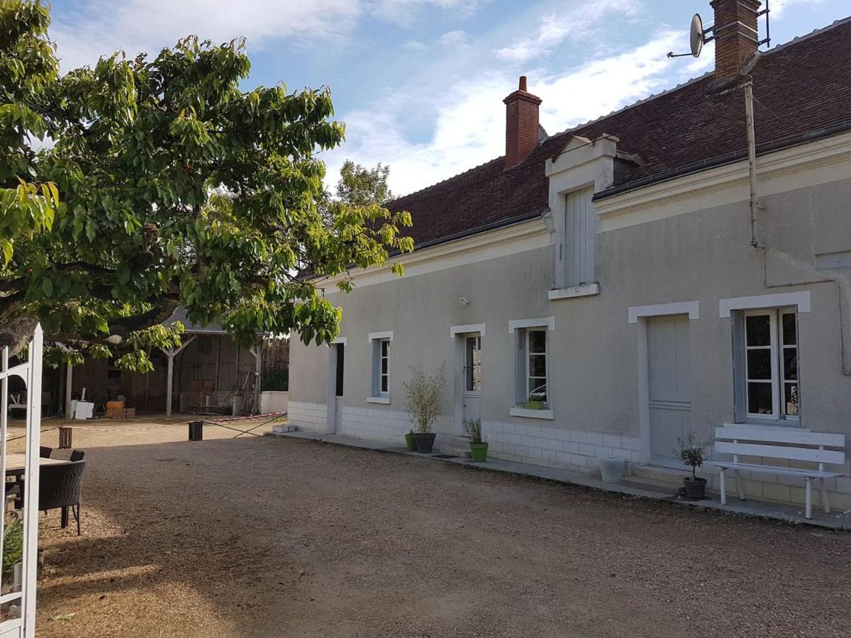 Gite Caves De Beauval Saint-Aignan  Εξωτερικό φωτογραφία